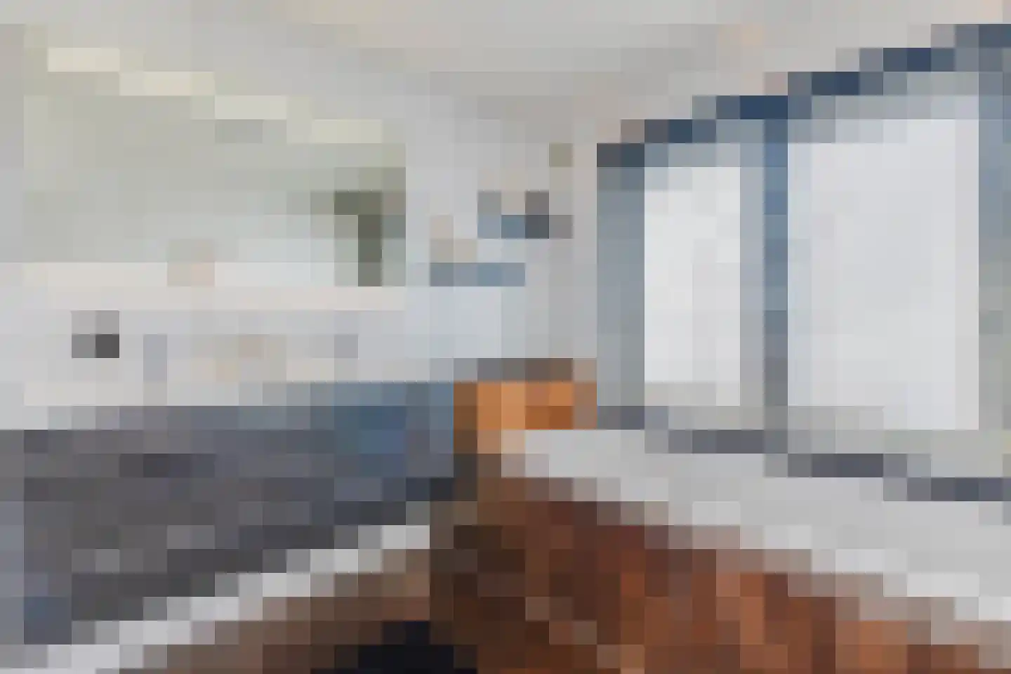 Plevitsstraat 5 Sint Joost thumbnail 16