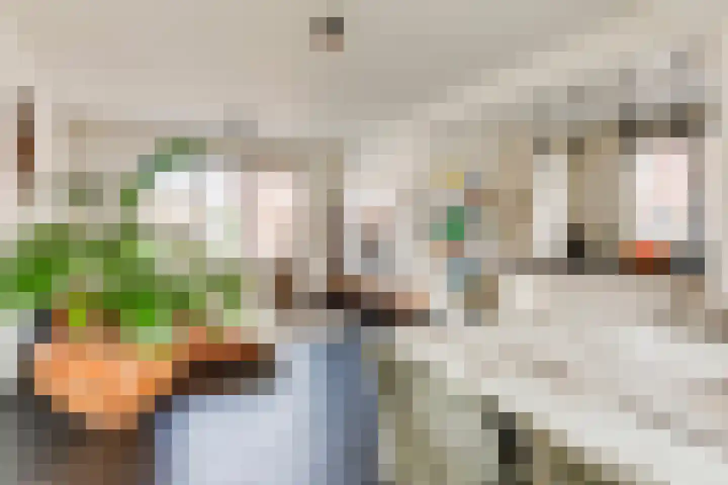 Plevitsstraat 5 Sint Joost thumbnail 5