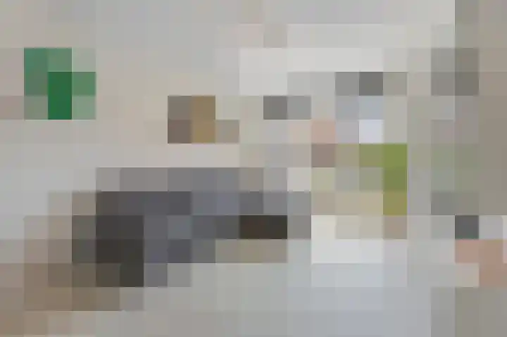 Plevitsstraat 6 Sint Joost thumbnail 13