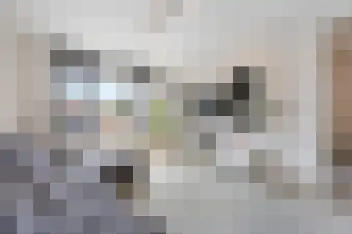 Plevitsstraat 6 Sint Joost thumbnail 14
