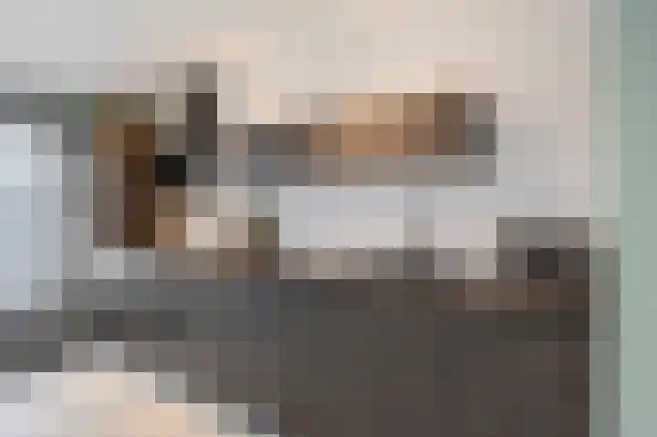 Plevitsstraat 6 Sint Joost thumbnail 20