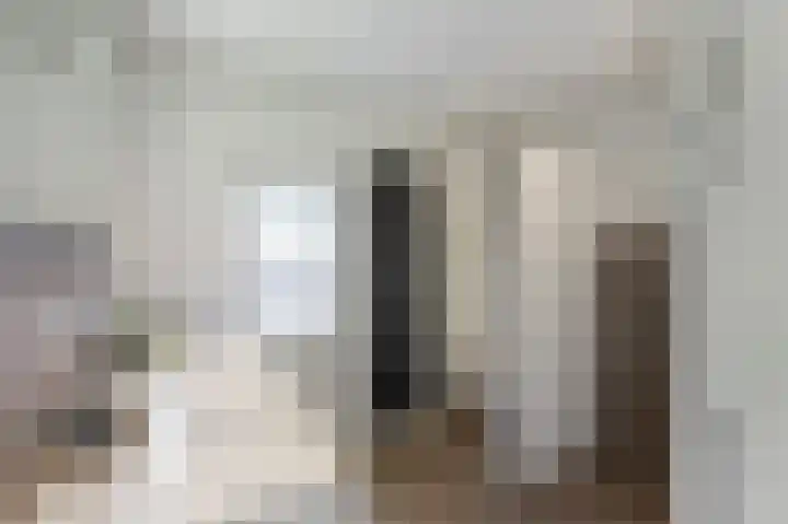 Plevitsstraat 6 Sint Joost thumbnail 30