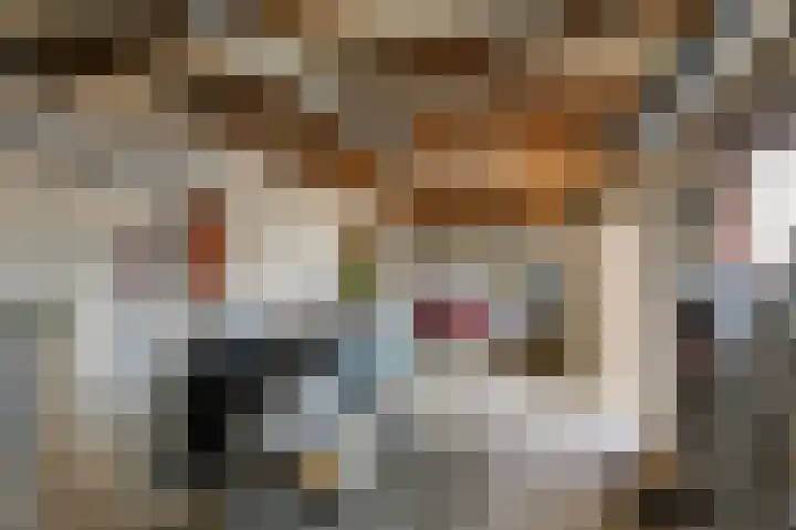 Plevitsstraat 6 Sint Joost thumbnail 39