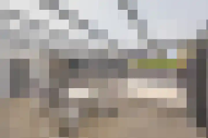 Plevitsstraat 6 Sint Joost thumbnail 4