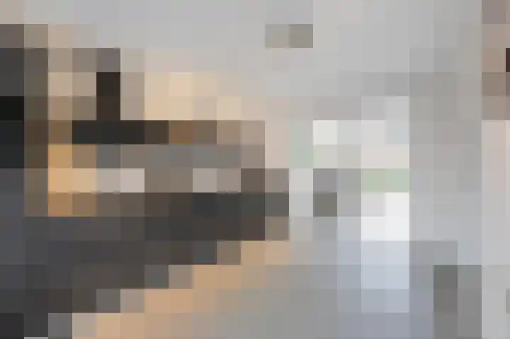 Plevitsstraat 6 Sint Joost thumbnail 8