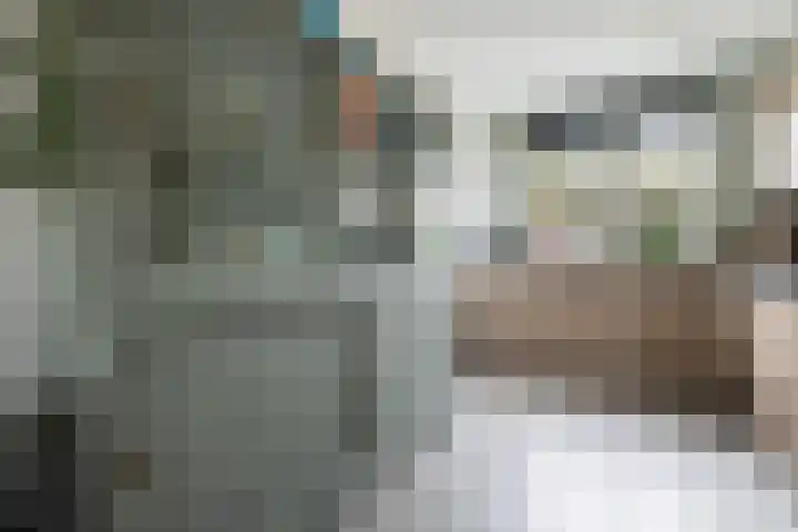 Plinius 9 Wijk bij Duurstede thumbnail 10