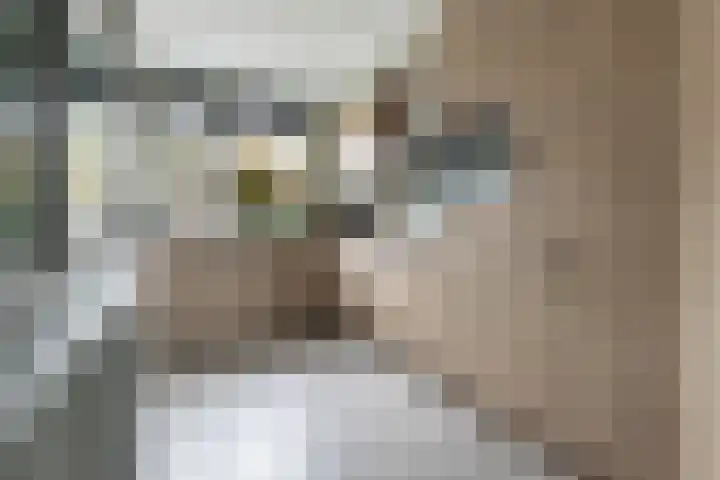 Plinius 9 Wijk bij Duurstede thumbnail 11