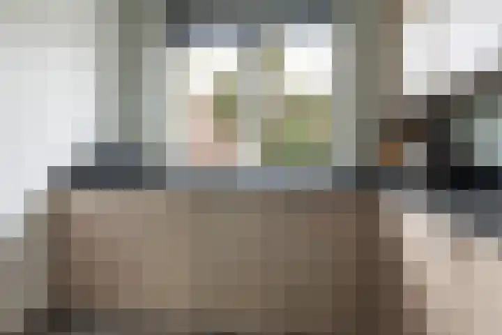 Plinius 9 Wijk bij Duurstede thumbnail 12