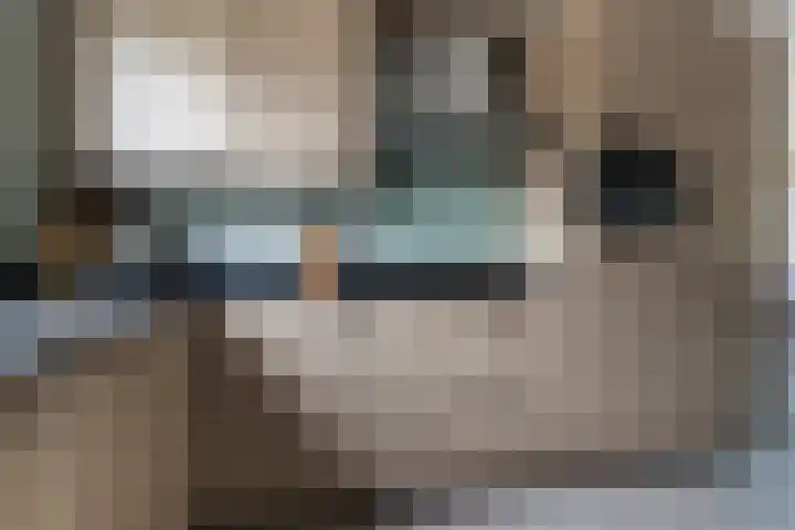 Plinius 9 Wijk bij Duurstede thumbnail 13