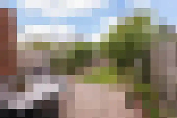 Plinius 9 Wijk bij Duurstede thumbnail 15