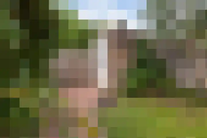 Plinius 9 Wijk bij Duurstede thumbnail 17