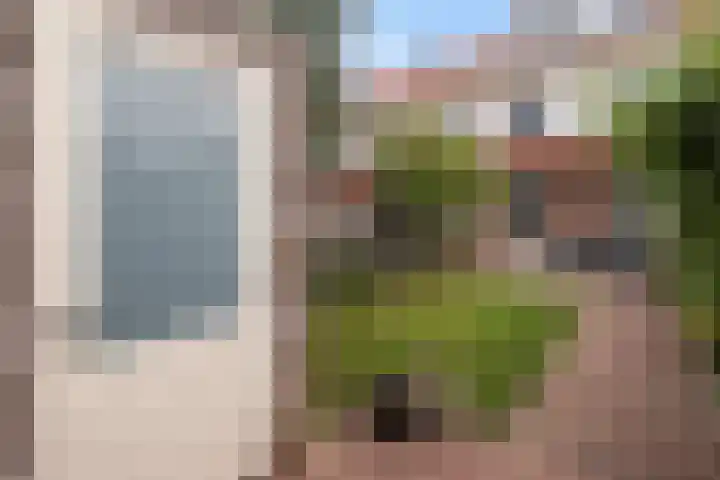 Plinius 9 Wijk bij Duurstede thumbnail 18