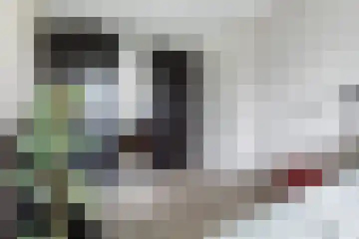 Plinius 9 Wijk bij Duurstede thumbnail 22