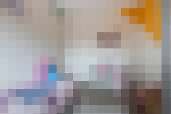 Plinius 9 Wijk bij Duurstede thumbnail 25