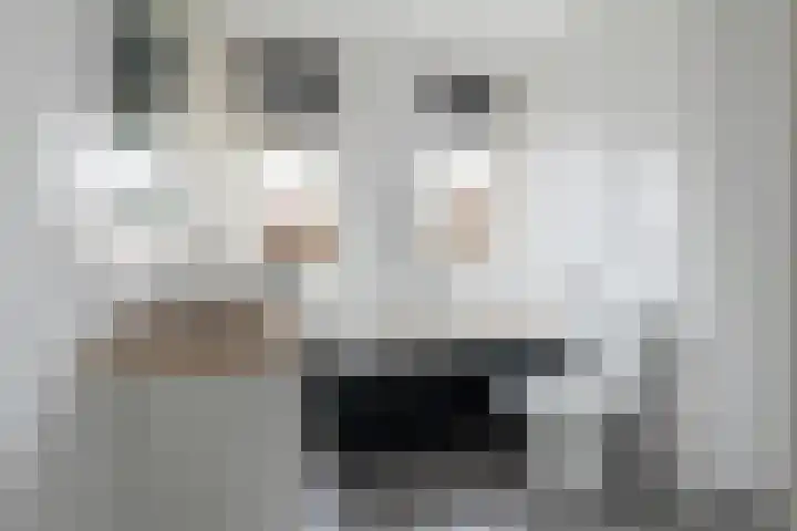 Plinius 9 Wijk bij Duurstede thumbnail 27