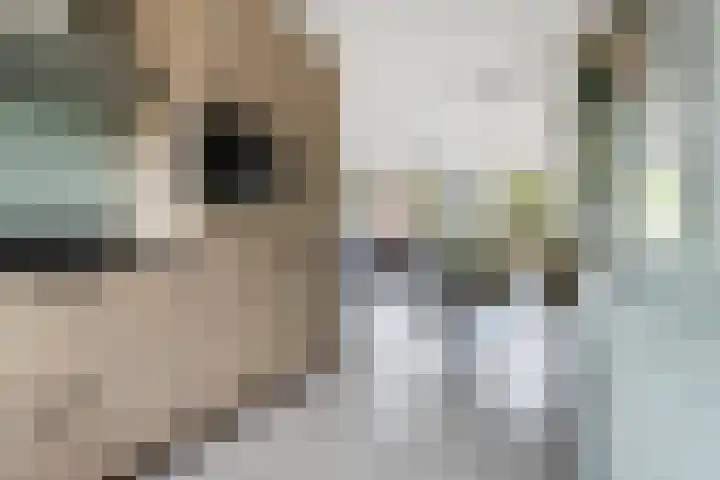 Plinius 9 Wijk bij Duurstede thumbnail 4