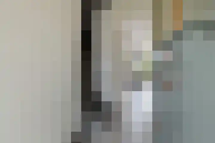 Plinius 9 Wijk bij Duurstede thumbnail 6