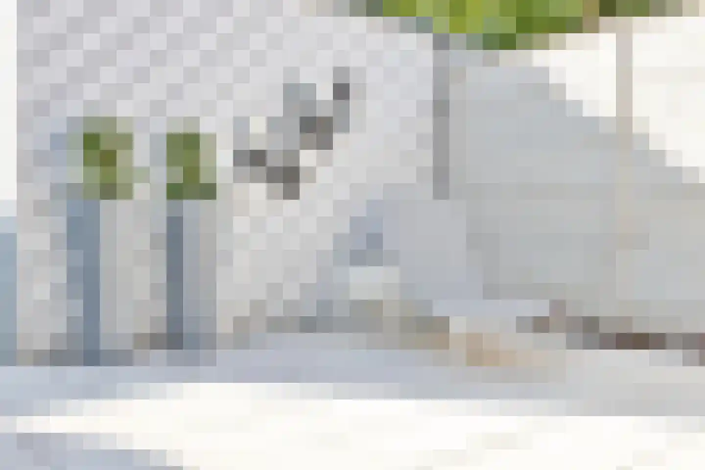 Pliniushof 25 Maastricht thumbnail 4