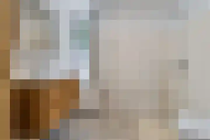 Pliniushof 31 Maastricht thumbnail 13