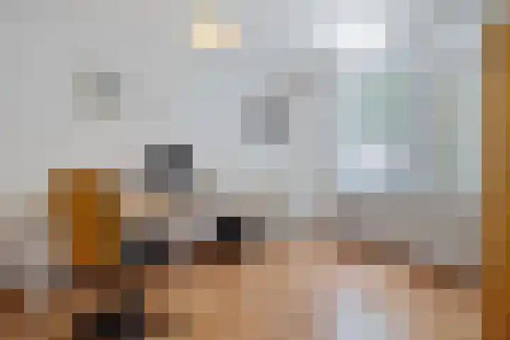 Pliniushof 31 Maastricht thumbnail 16