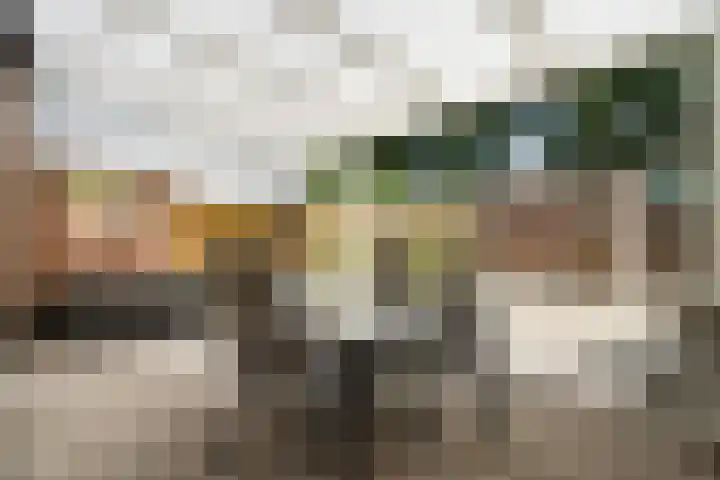 Pliniushof 31 Maastricht thumbnail 20