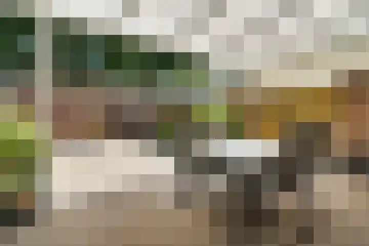 Pliniushof 31 Maastricht thumbnail 21