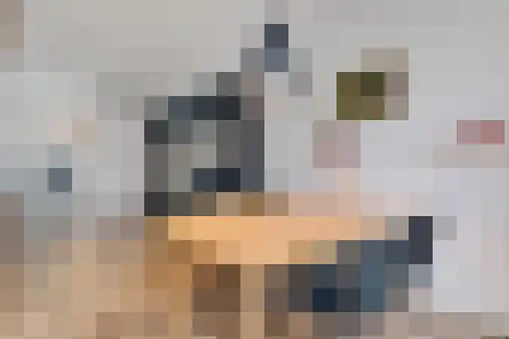 Pliniushof 31 Maastricht thumbnail 6