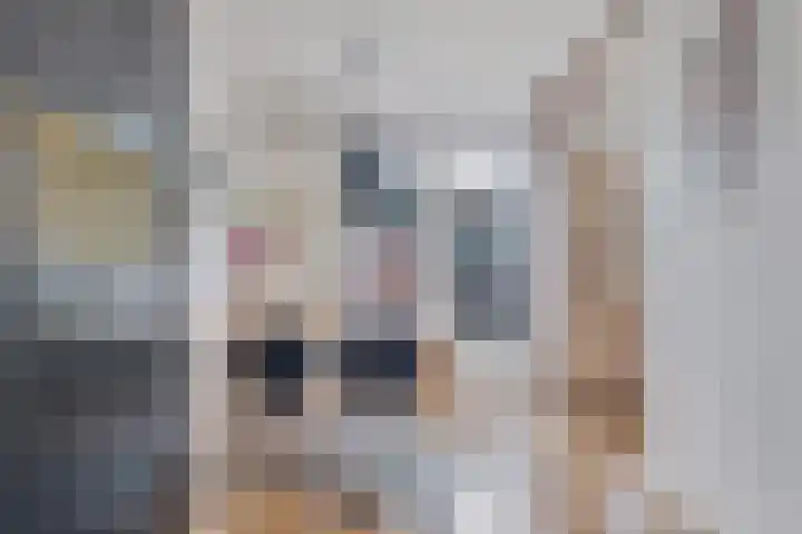 Pliniushof 31 Maastricht thumbnail 7