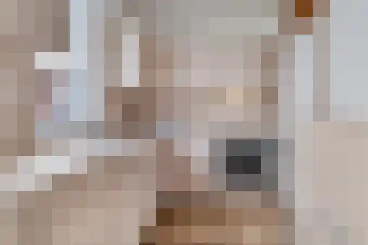 Pliniushof 31 Maastricht thumbnail 9