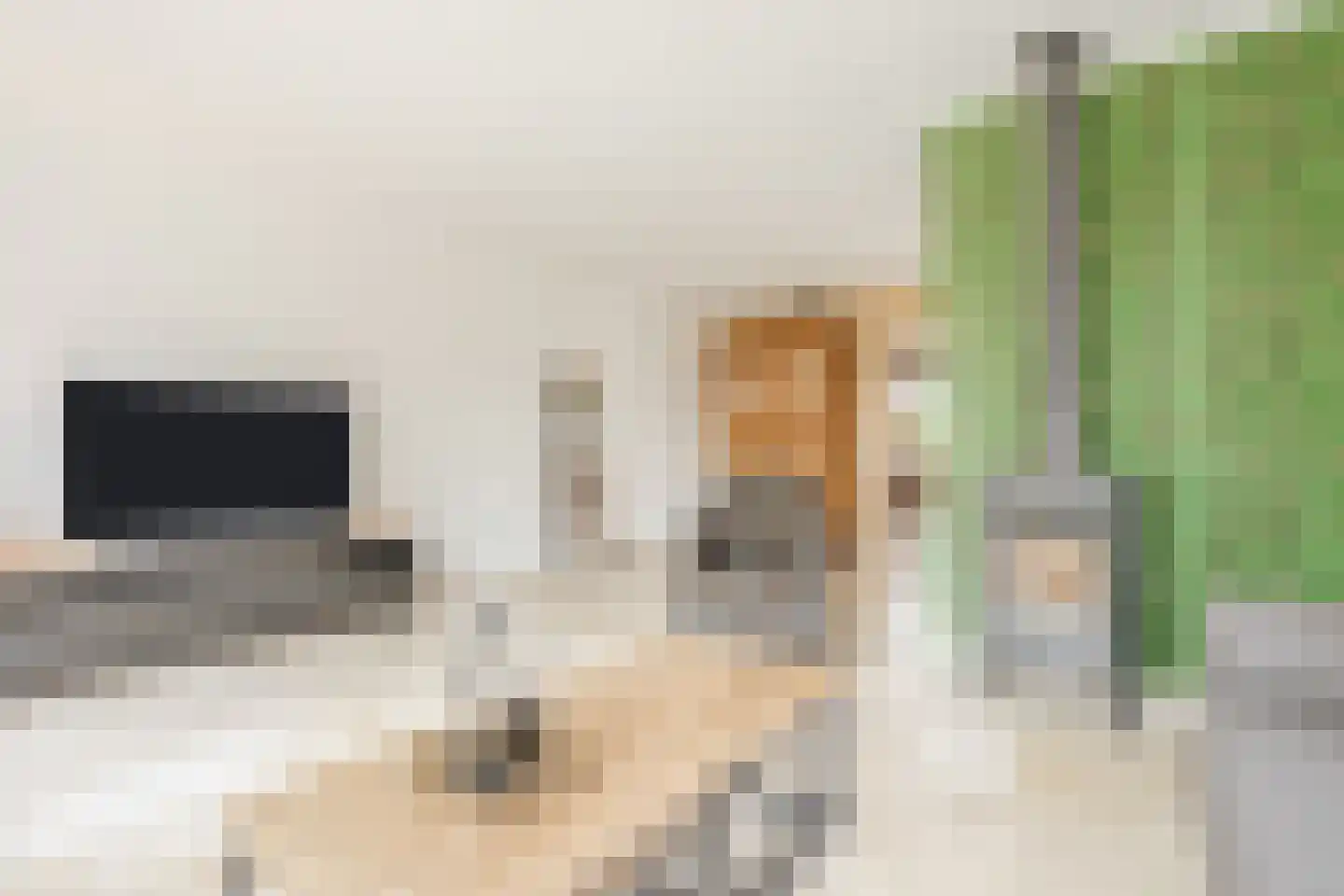 Ploeg 1 Vriezenveen thumbnail 14