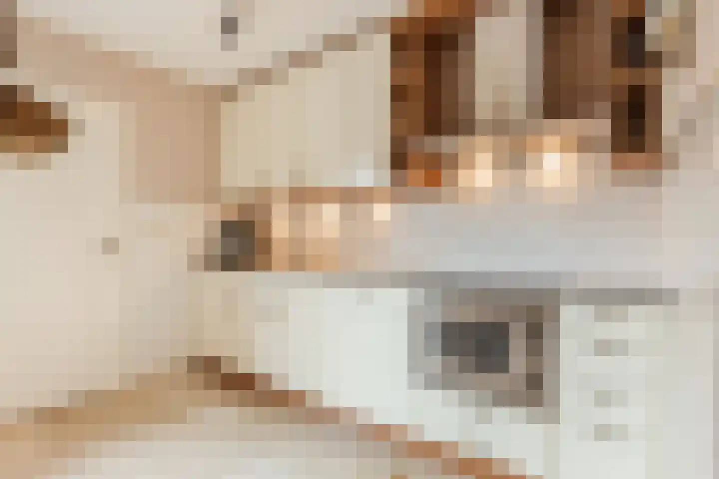 Ploeg 1 Vriezenveen thumbnail 25