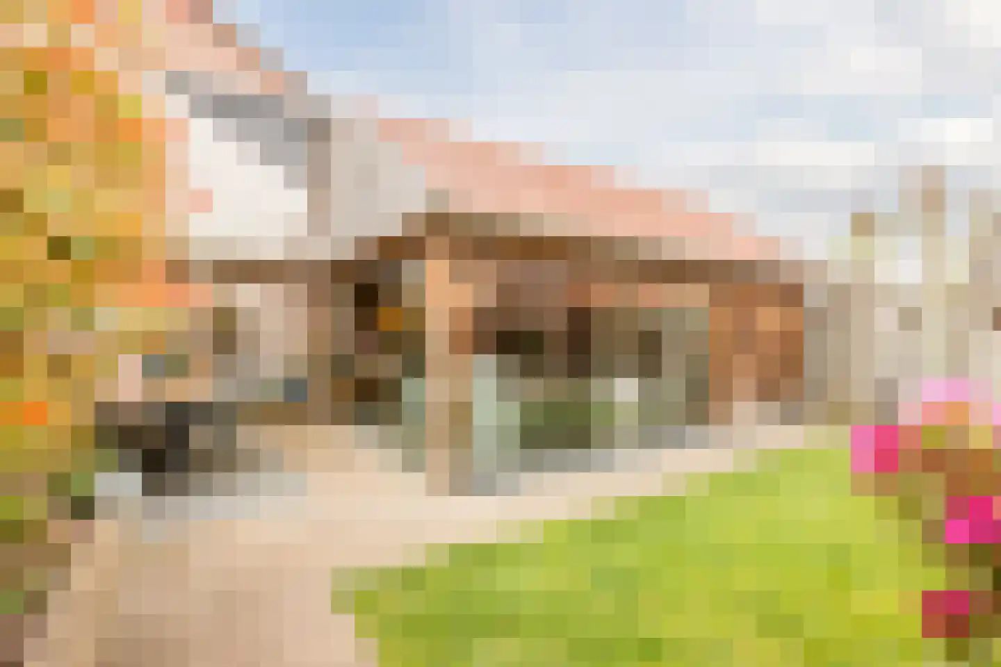 Ploeg 1 Vriezenveen thumbnail 49