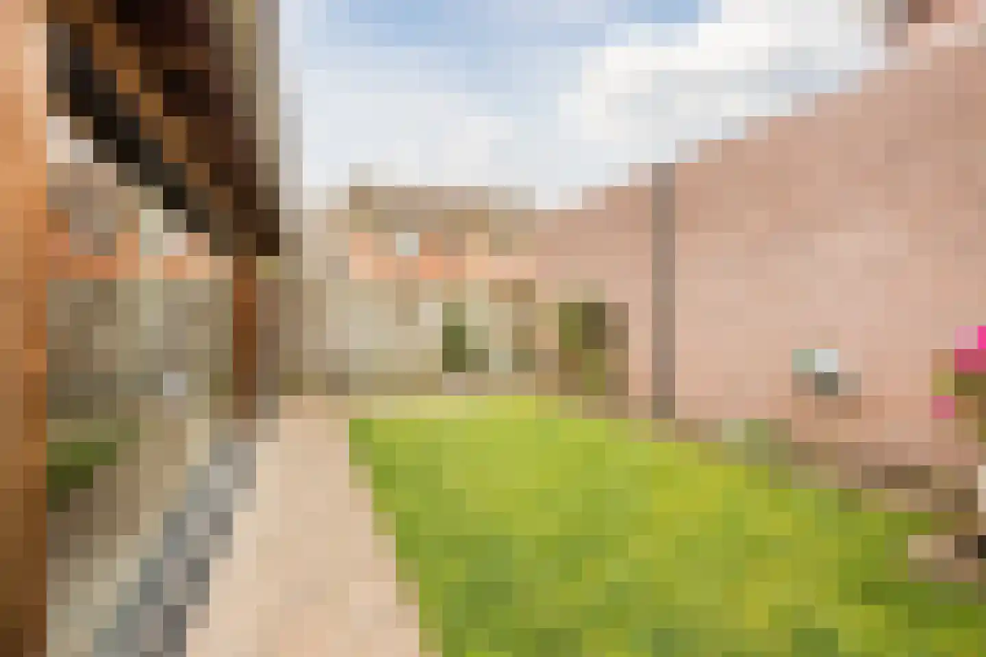 Ploeg 1 Vriezenveen thumbnail 50