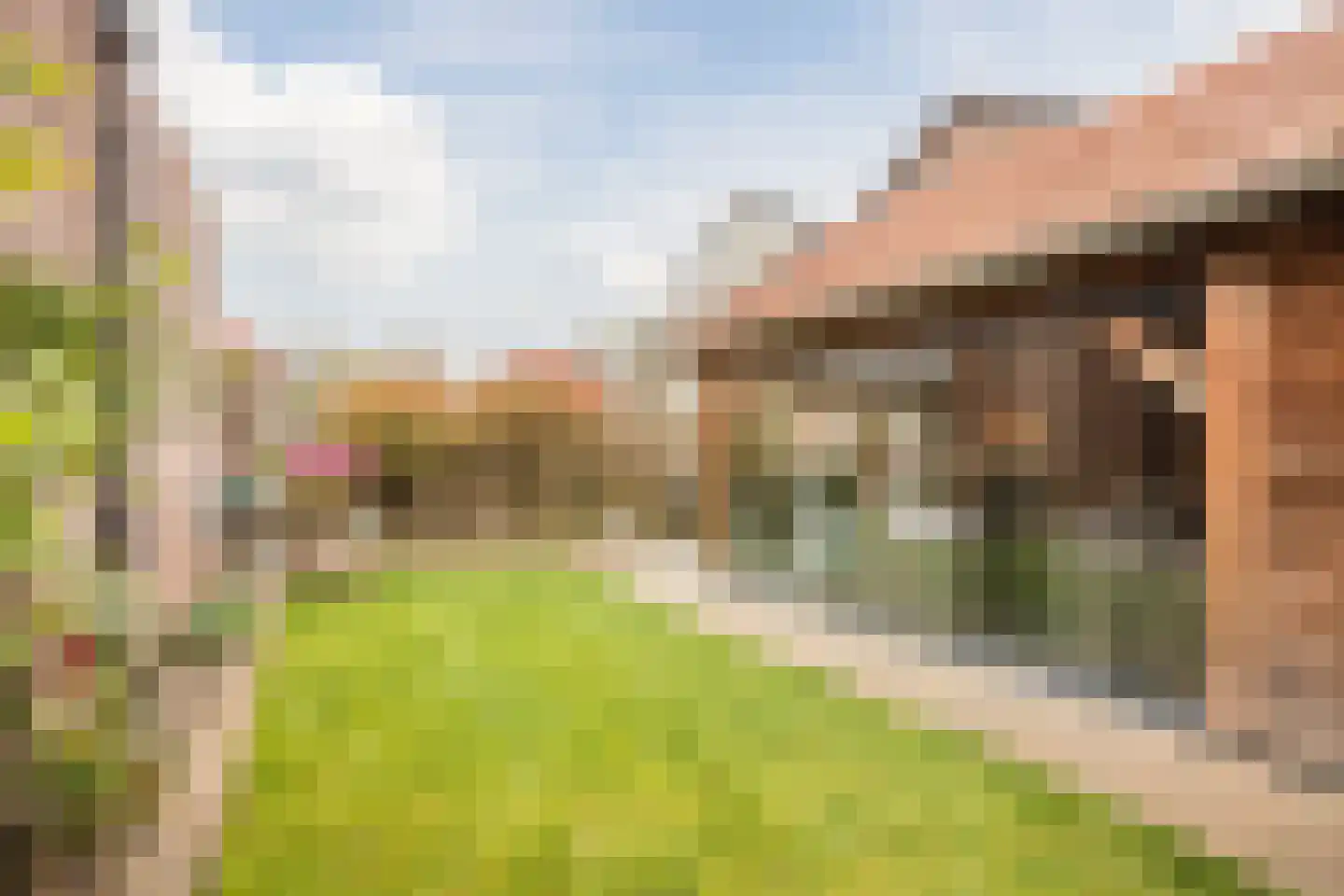 Ploeg 1 Vriezenveen thumbnail 52