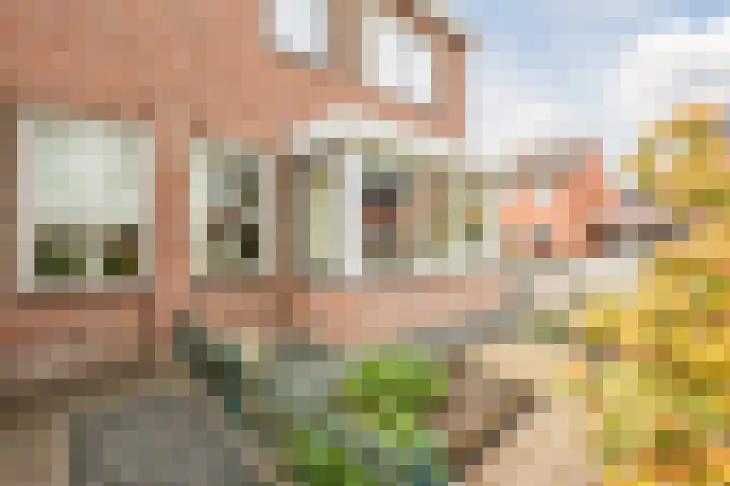 Ploeg 1 Vriezenveen thumbnail 6