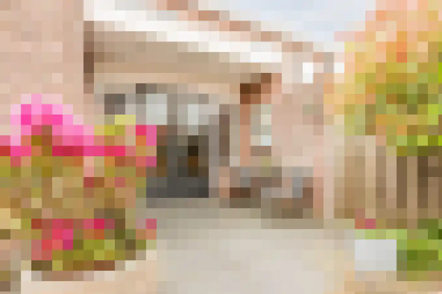Ploeg 1 Vriezenveen thumbnail 60