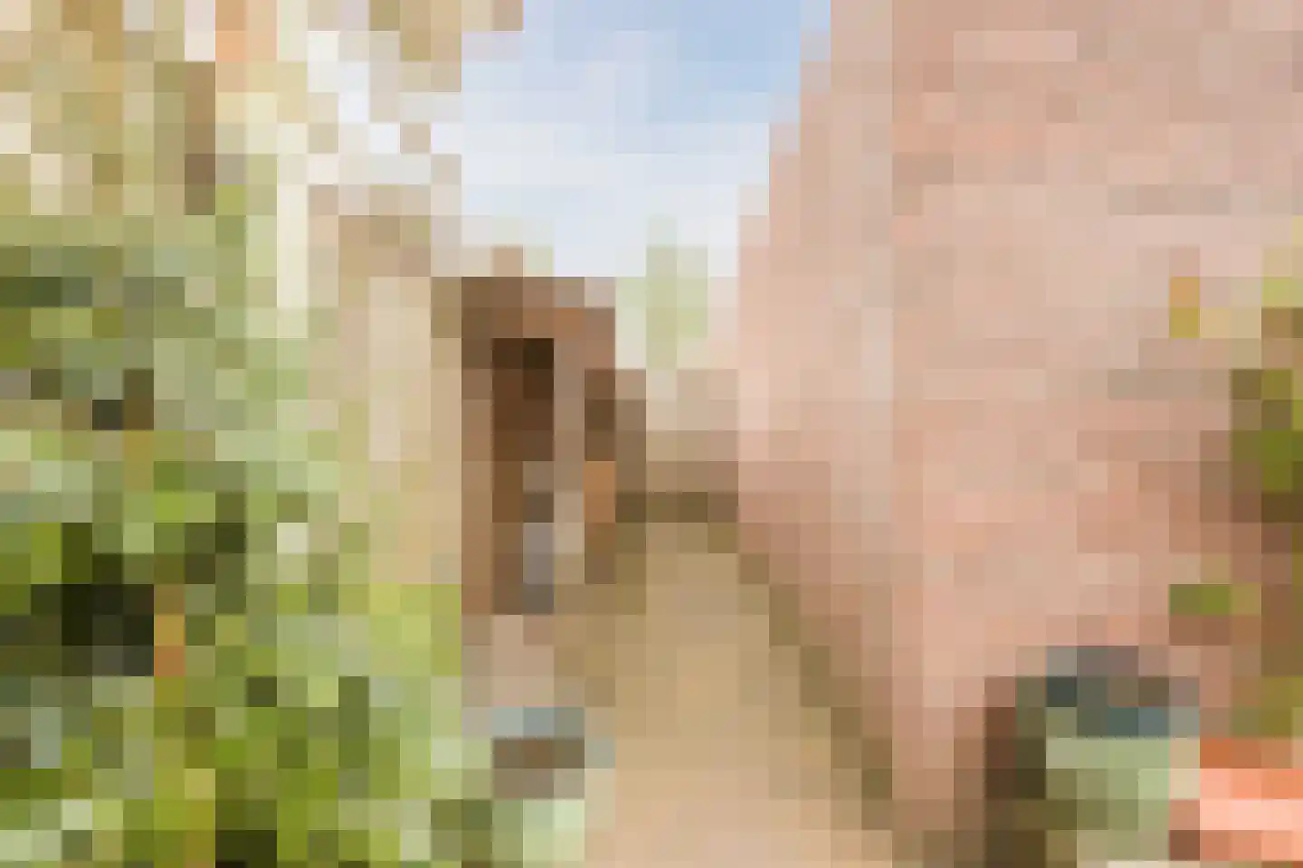Ploeg 1 Vriezenveen thumbnail 62