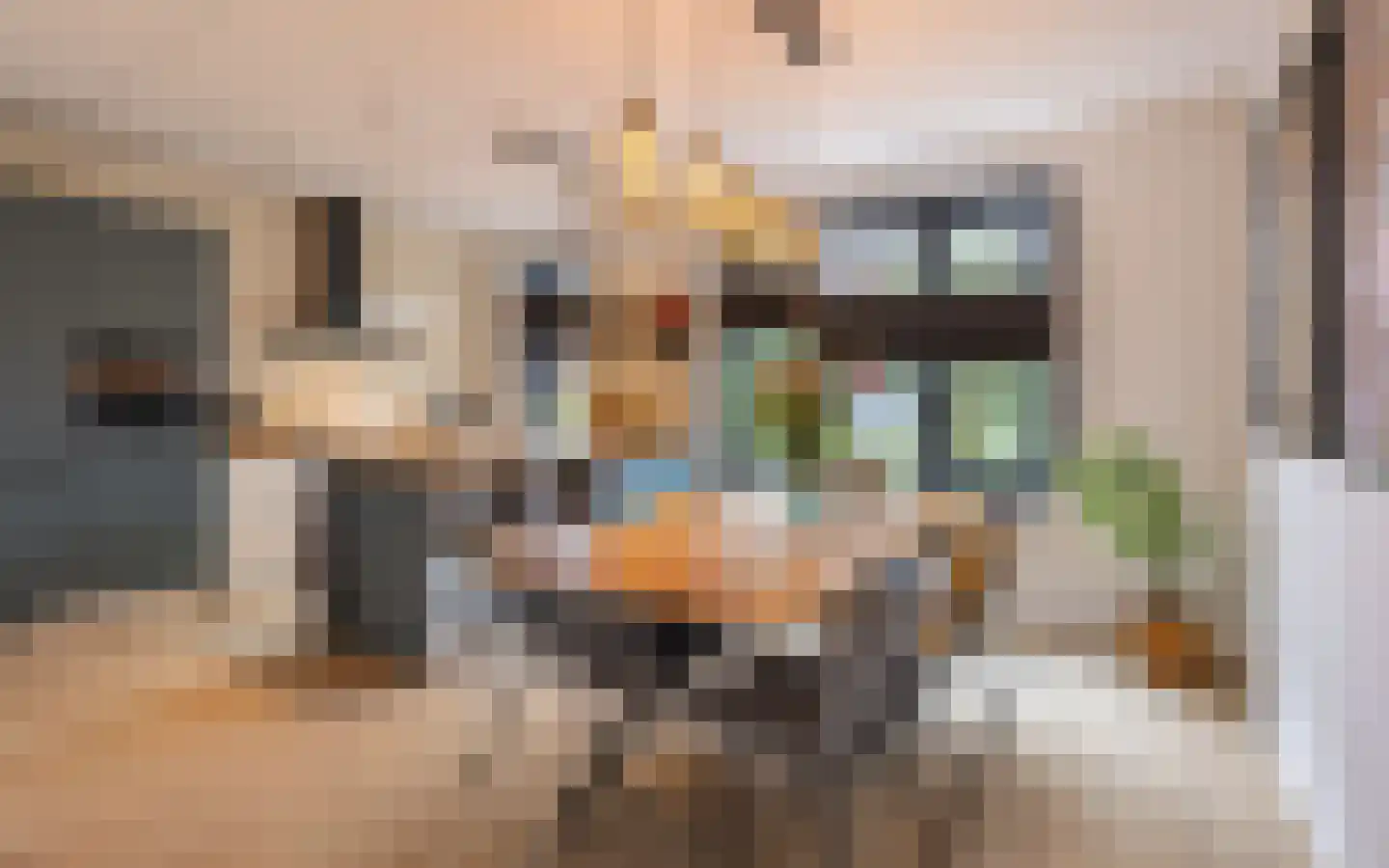 Ploeg 12 Holten thumbnail 12
