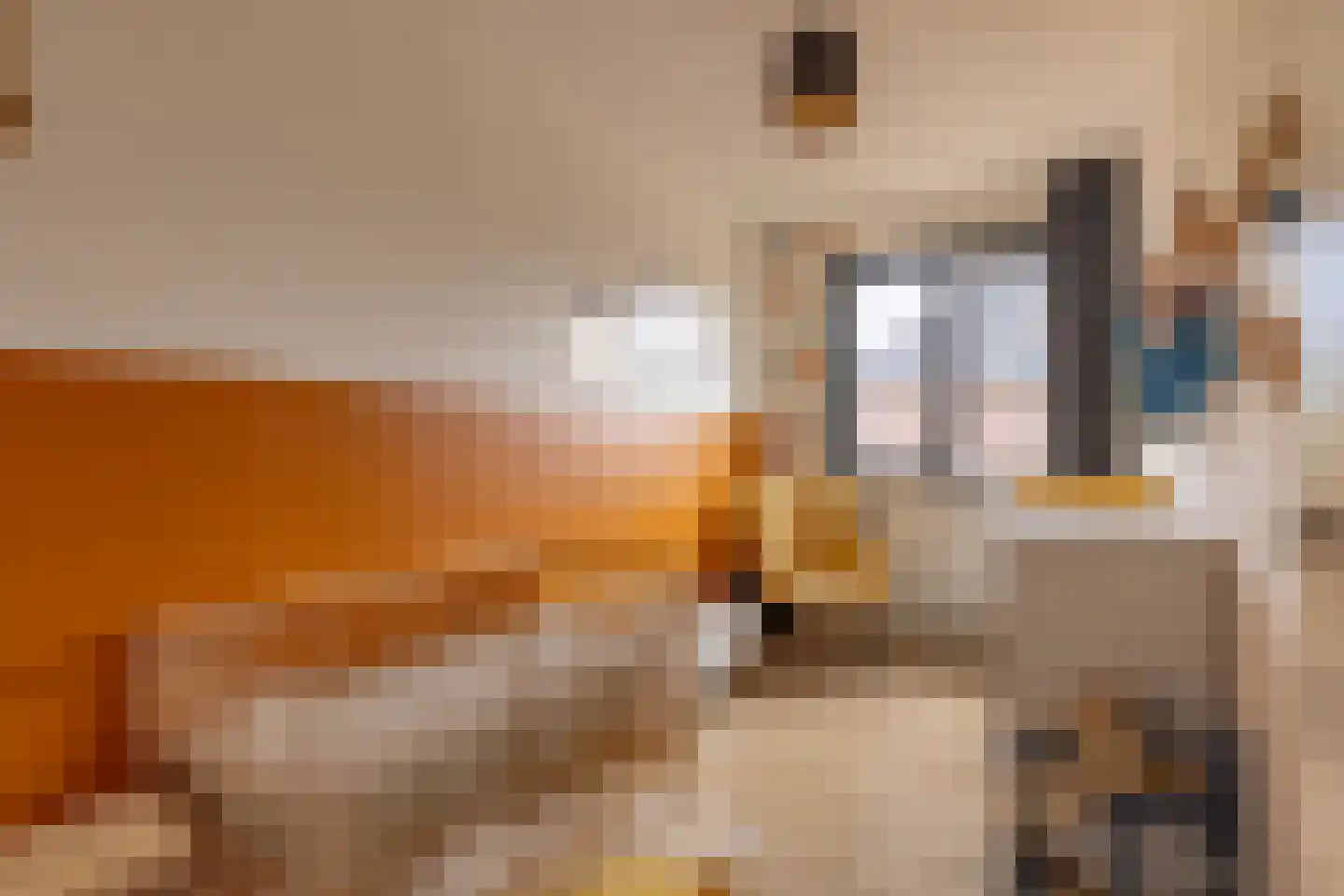 Ploeg 12 Holten thumbnail 19