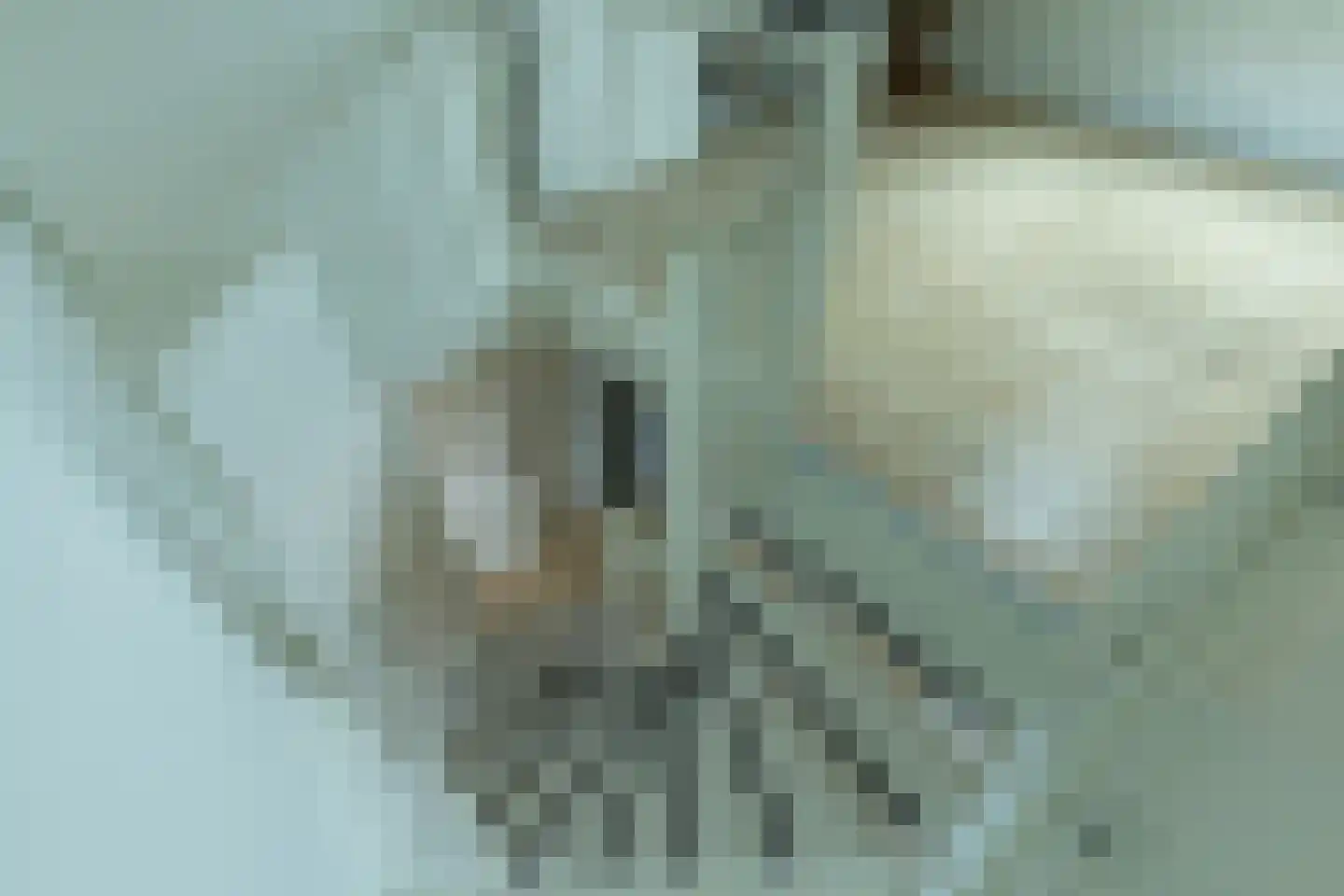 Ploeg 12 Holten thumbnail 23