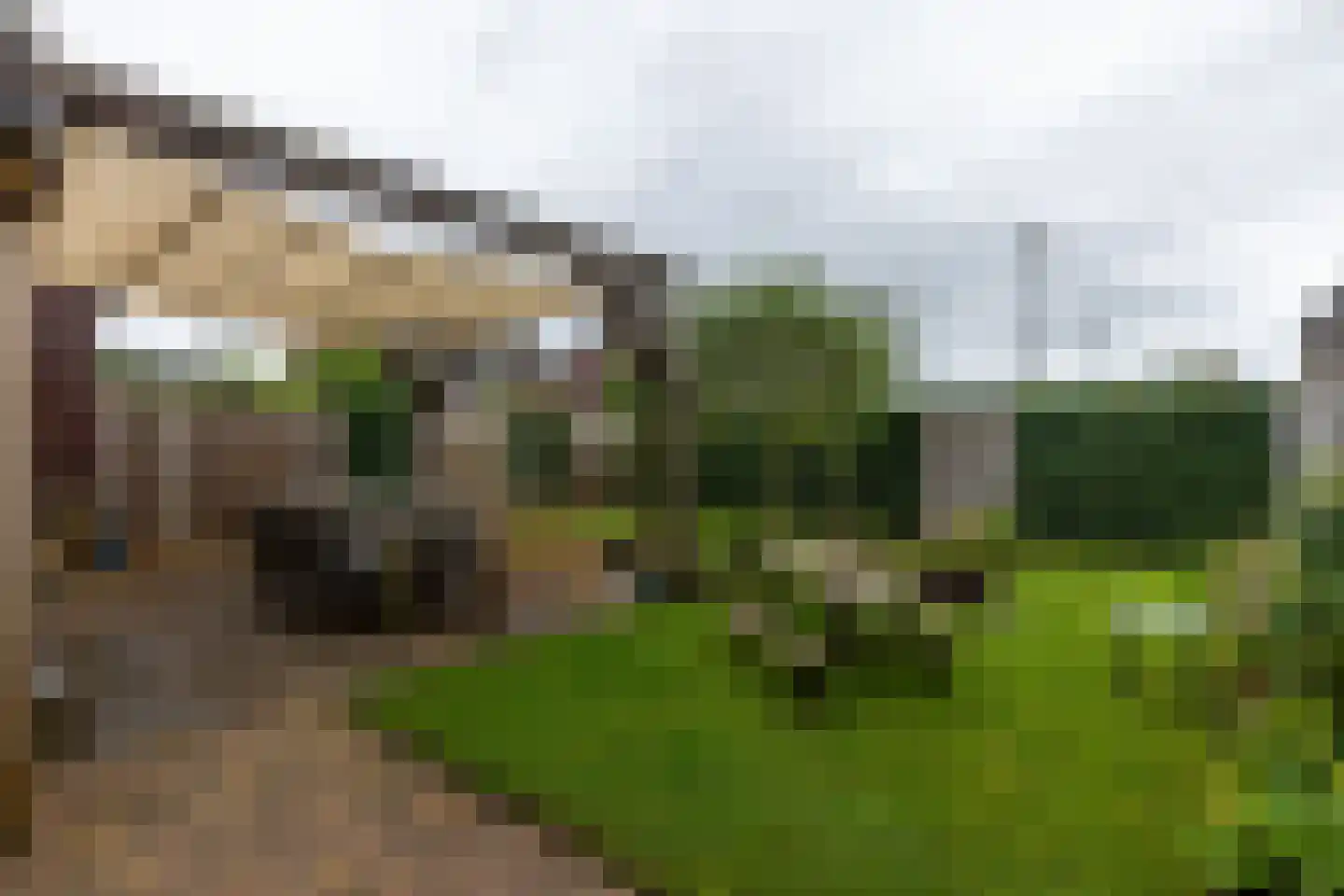 Ploeg 12 Holten thumbnail 26