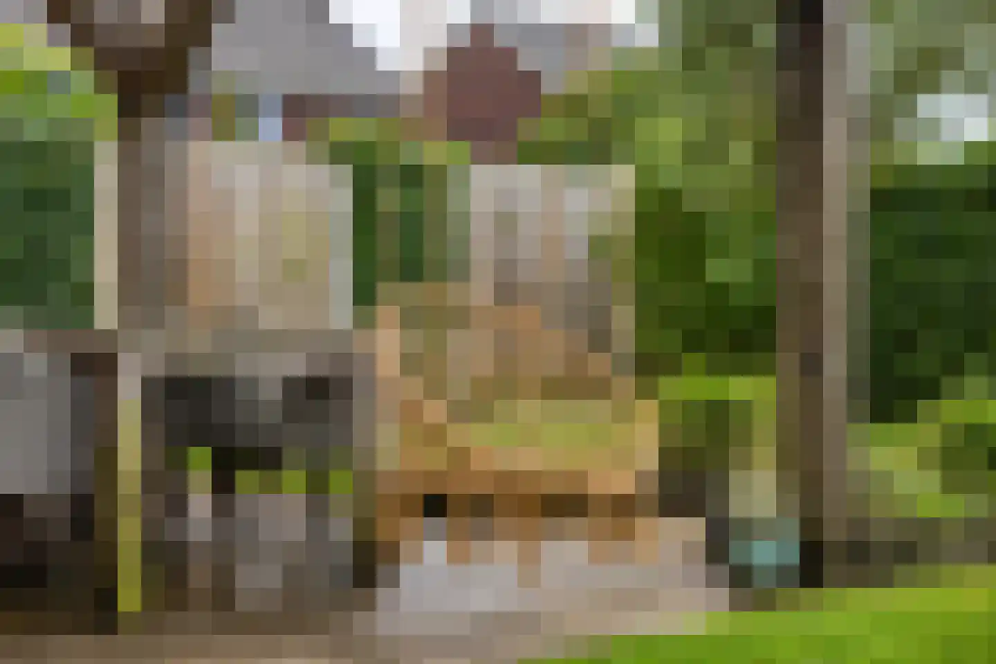 Ploeg 12 Holten thumbnail 32