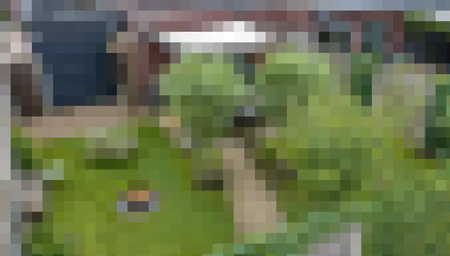Ploeg 12 Holten thumbnail 33