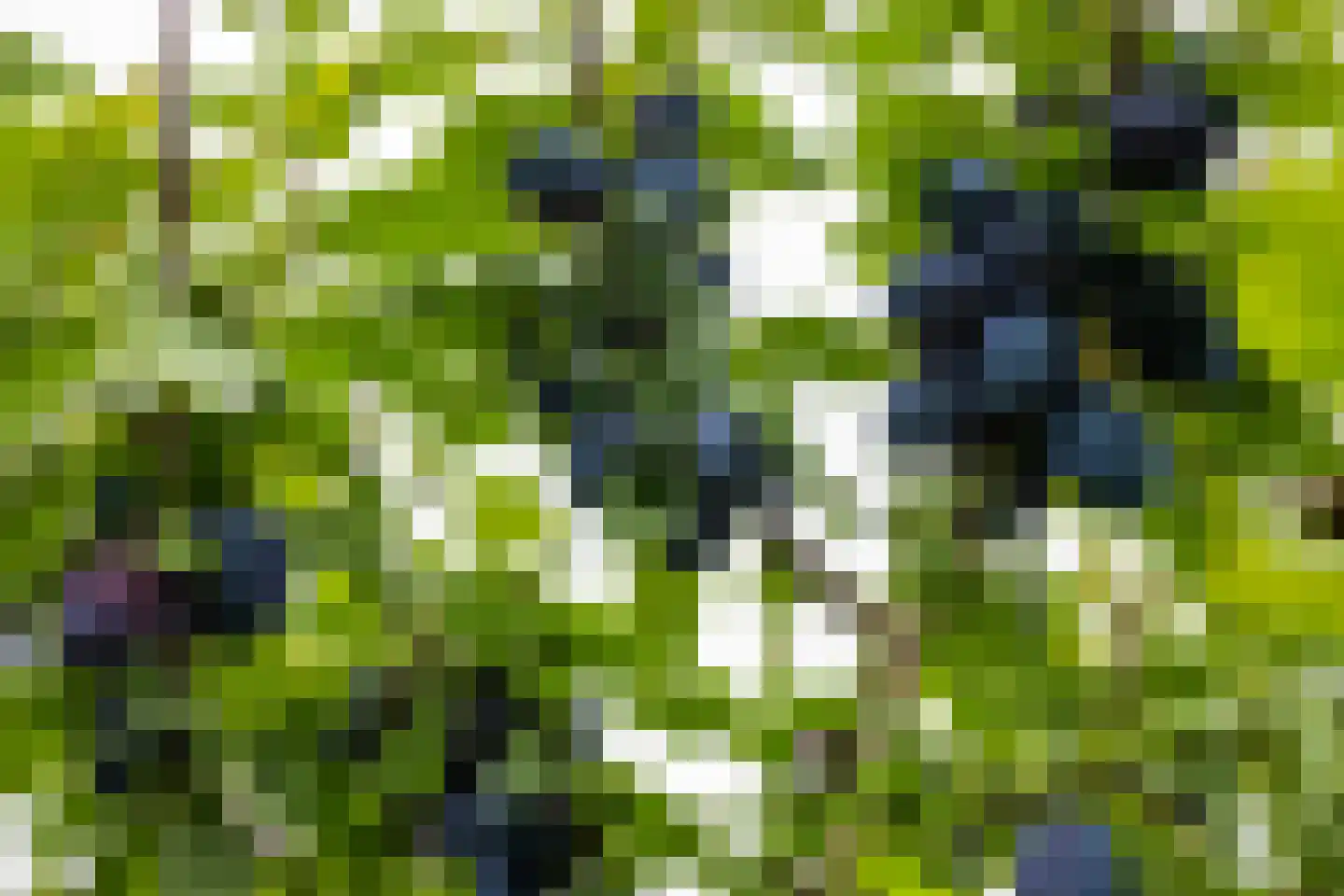 Ploeg 12 Holten thumbnail 34
