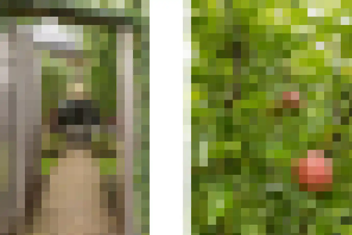 Ploeg 12 Holten thumbnail 35