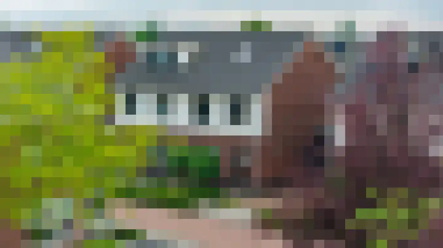 Ploeg 12 Holten thumbnail 36