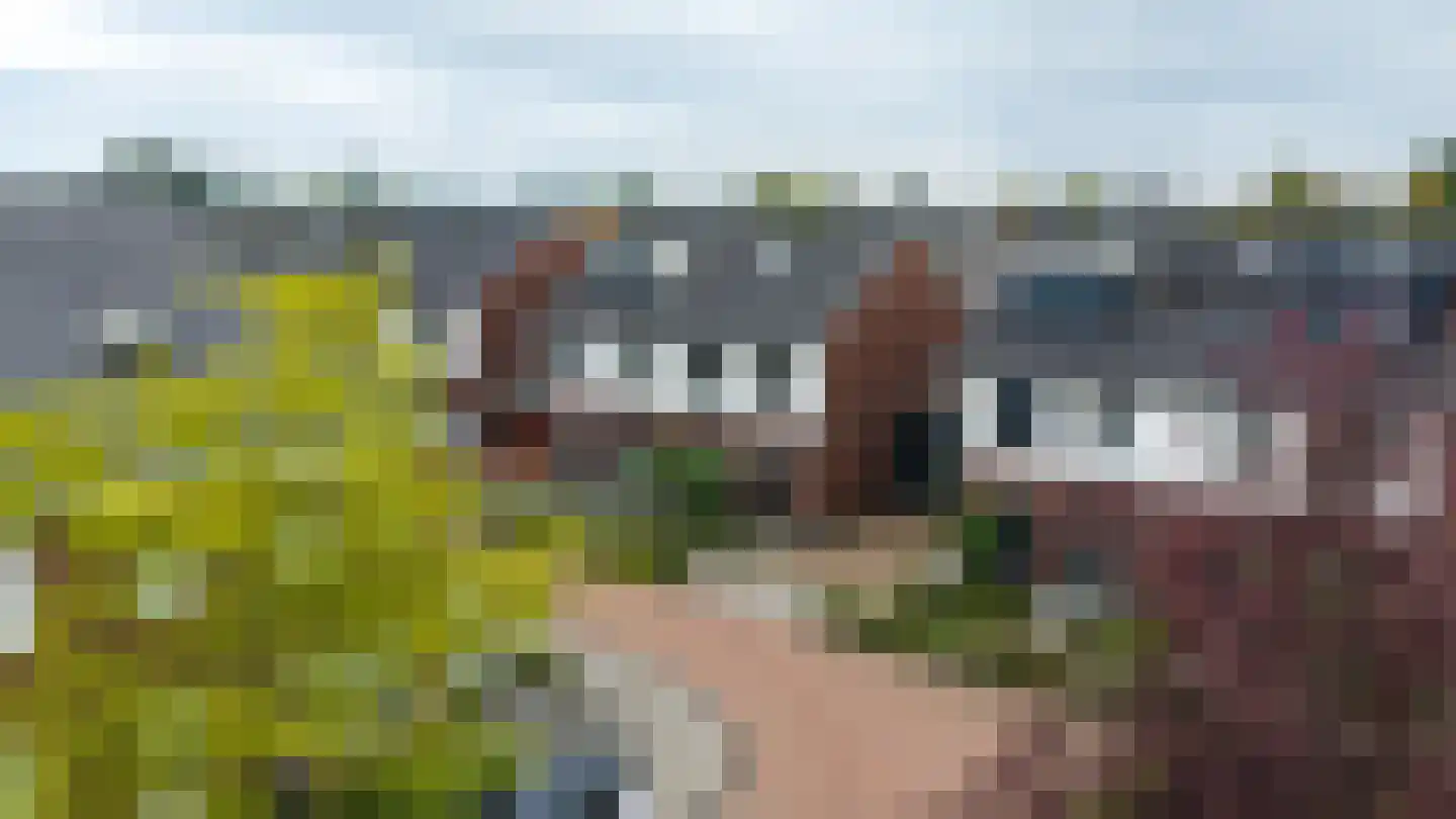 Ploeg 12 Holten thumbnail 38
