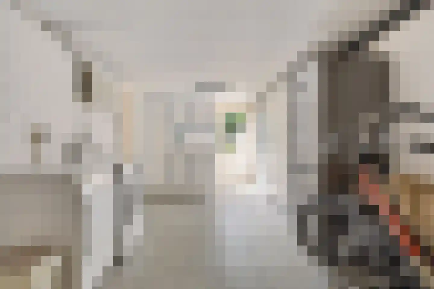 Ploeg 14 Berghem thumbnail 25