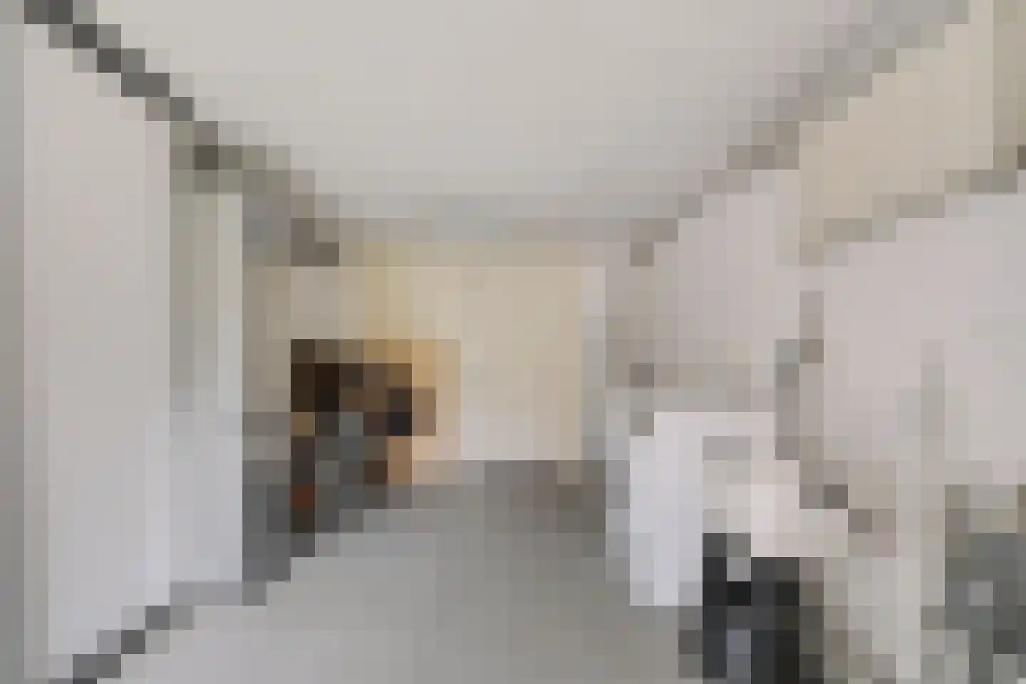 Ploeg 14 Berghem thumbnail 26