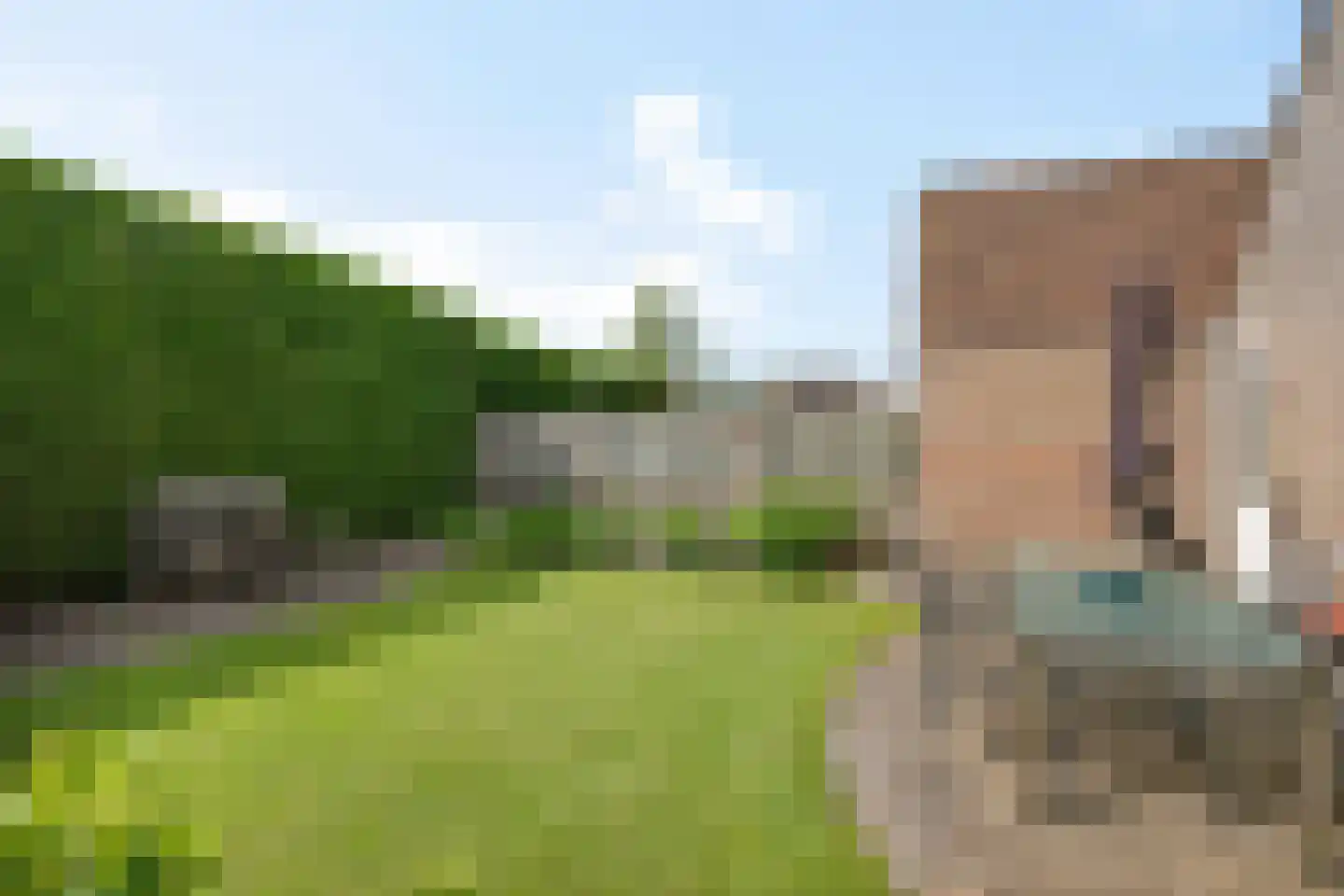 Ploeg 14 Berghem thumbnail 29